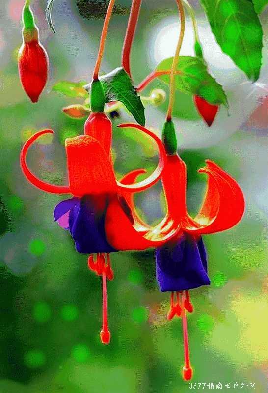 jI7Wd906QzidYRYX4Ih8f8-o4BGF86LITiTQDVfObPc0fAT2jpPV_A8J-NDaq91K