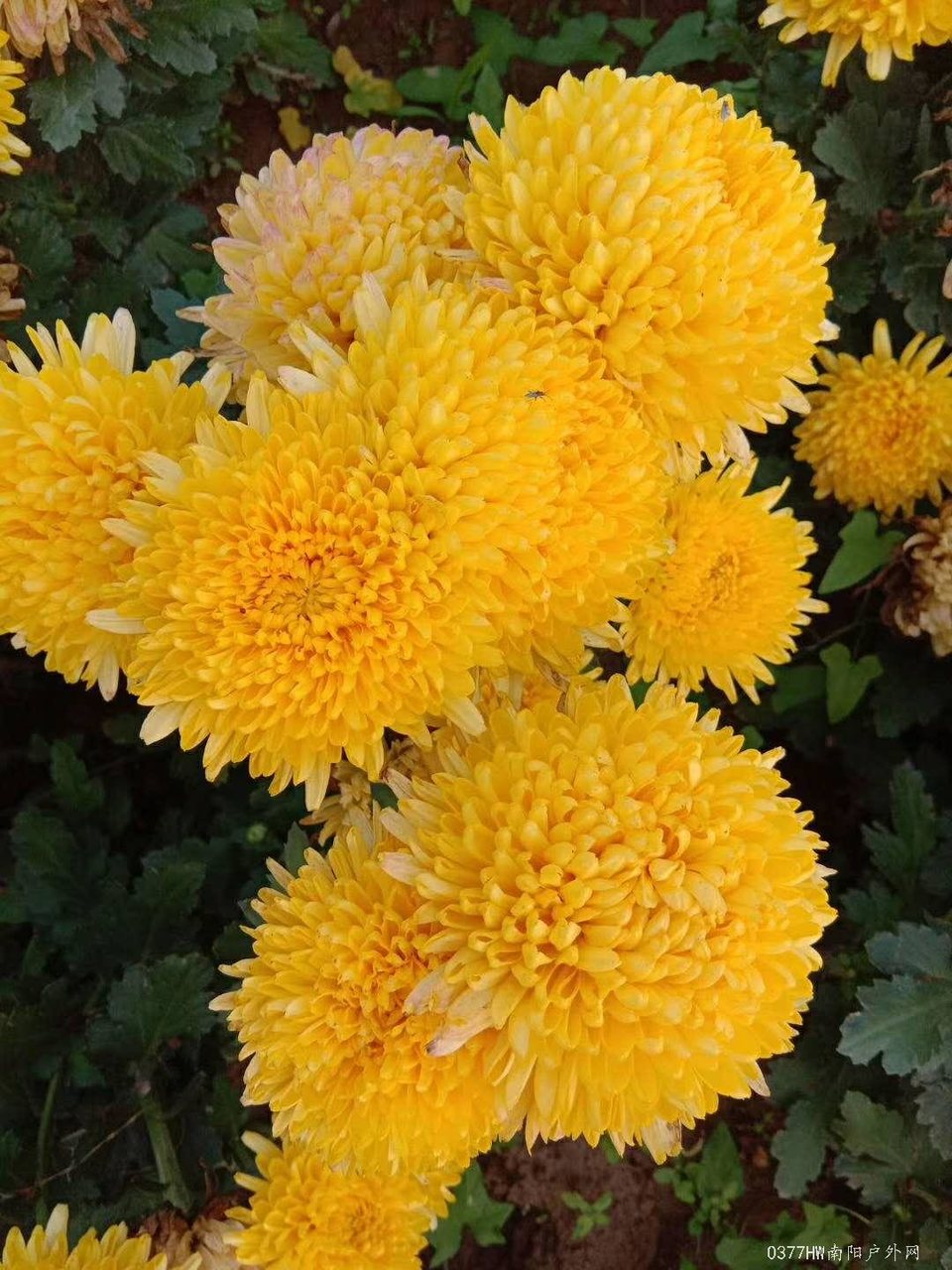 IkkuIhCg8Pn2-_KJR39ZbUBxjXU15DlL1HkrJdJpuUMTOZUO_idOawrc9nyMQOH2