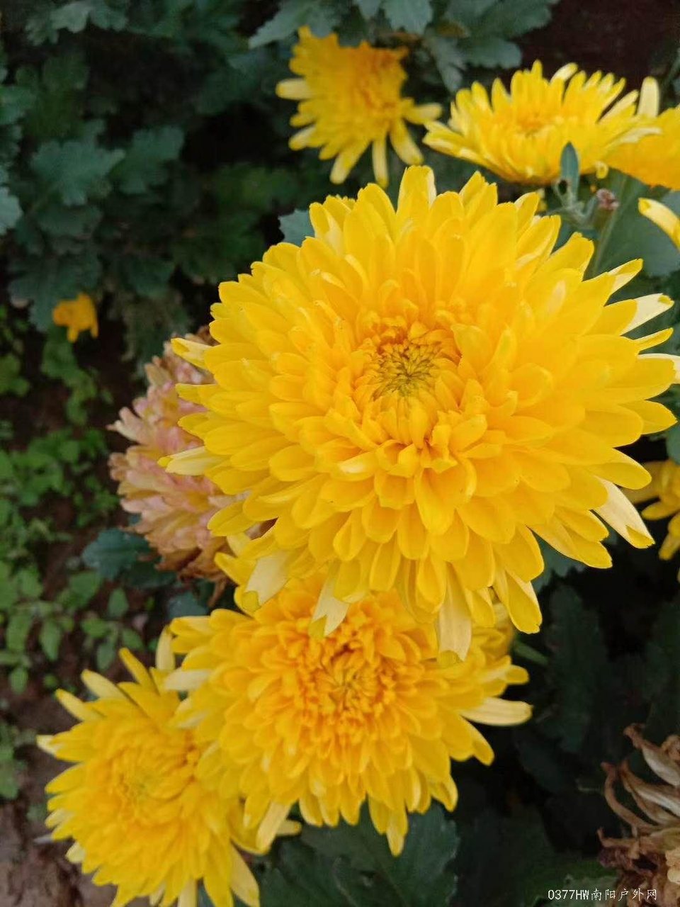 OOy1lQNmPzaDG58yWgdJKNvAFi6tVZvnD6YXJiqIGoG-arw2-OwWZiFnXSlDwAtZ