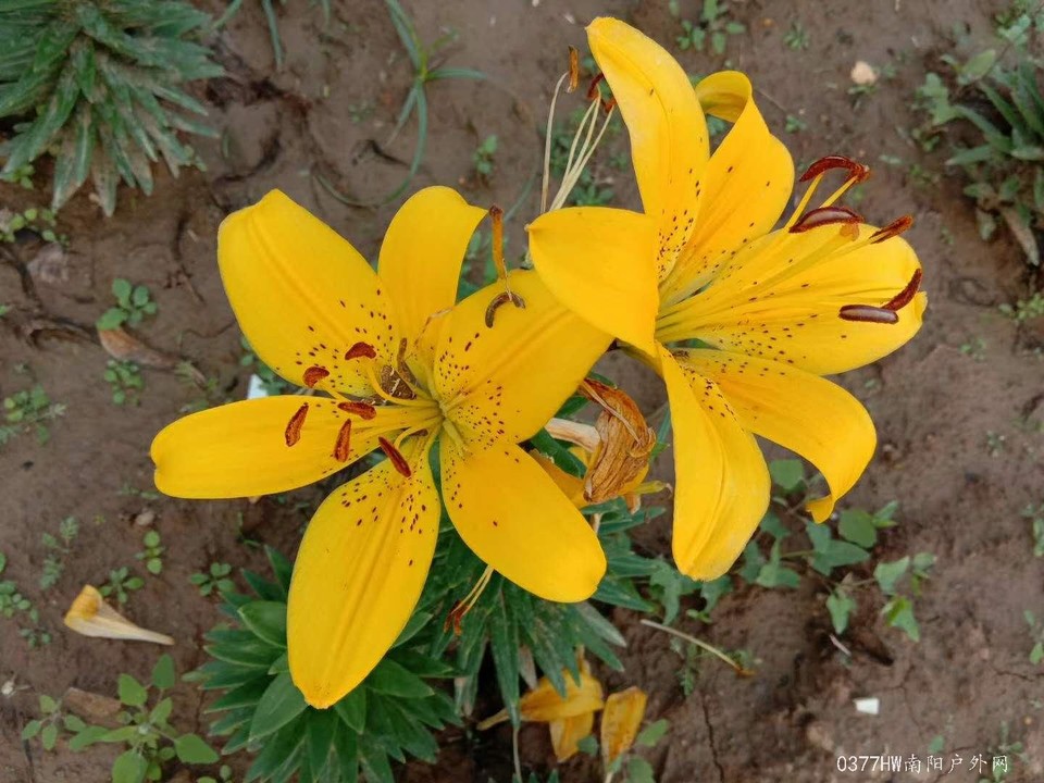 GZC8MsgnDGlCF5SNx0wc_gPyTy4gG8nQF8YIYCULV8Ga6jkzkfyPWoMXwKK4EYpk