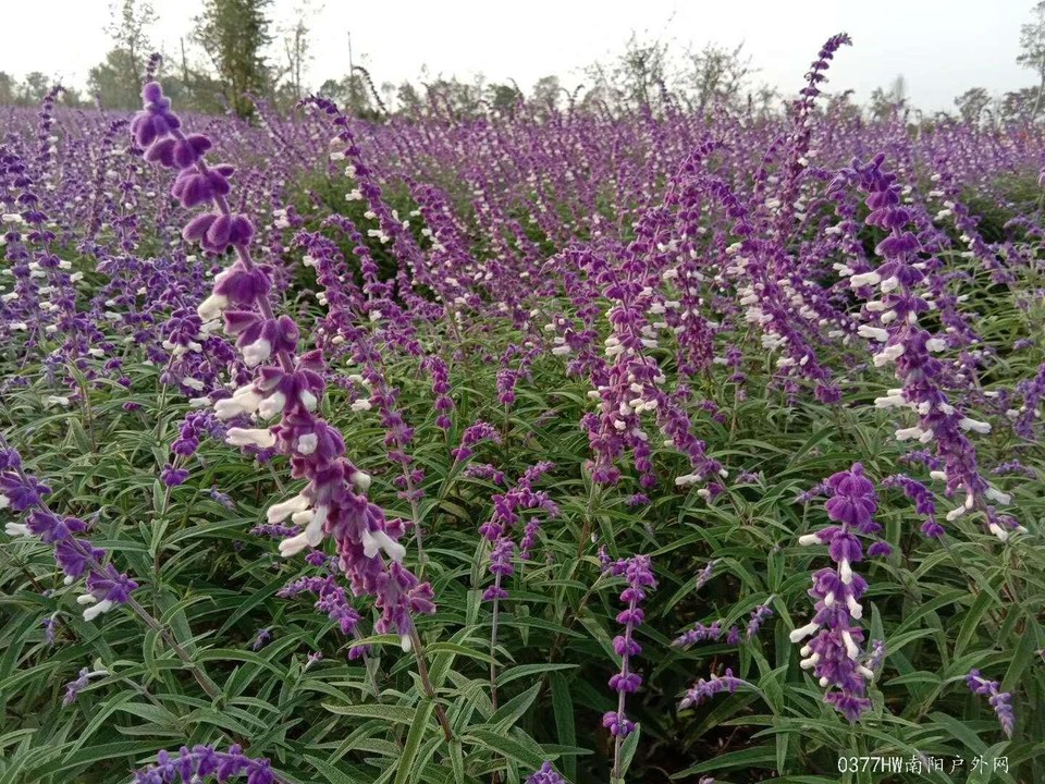 hELKH9oeVsu9OVz8YrHKjoJ7u1mHVJwedh_9rFvUX7PalxlY2iaJzKu3EqaL_HDp