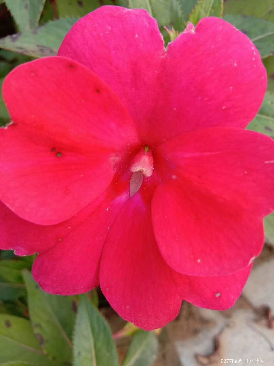 9Abx9zE6TDMYOTVHfOaN7q1ARSMvrqp-F_hp8lg9n5wlldl6XhonRfRMq0DFZ6ka