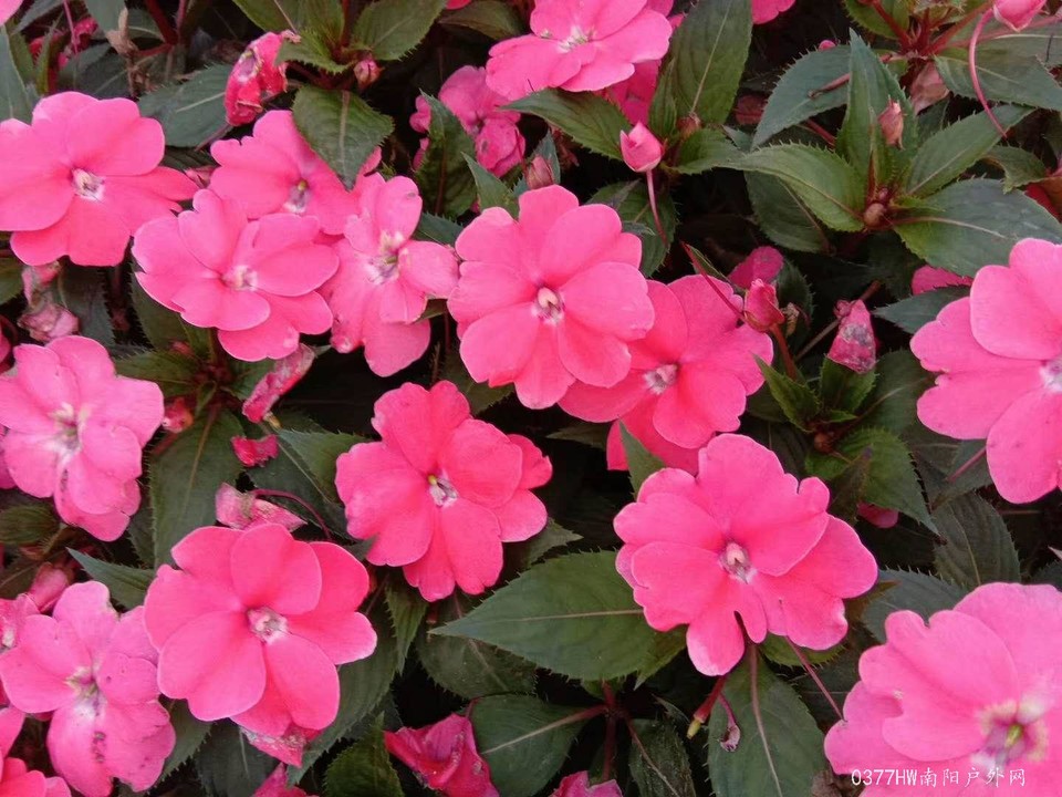 iMGm8yqU9Pm4UpAUkghBcj5n1lqWffUBaF6uL59m3Lsp4Ee5unY5PvMgAQGXpn8K