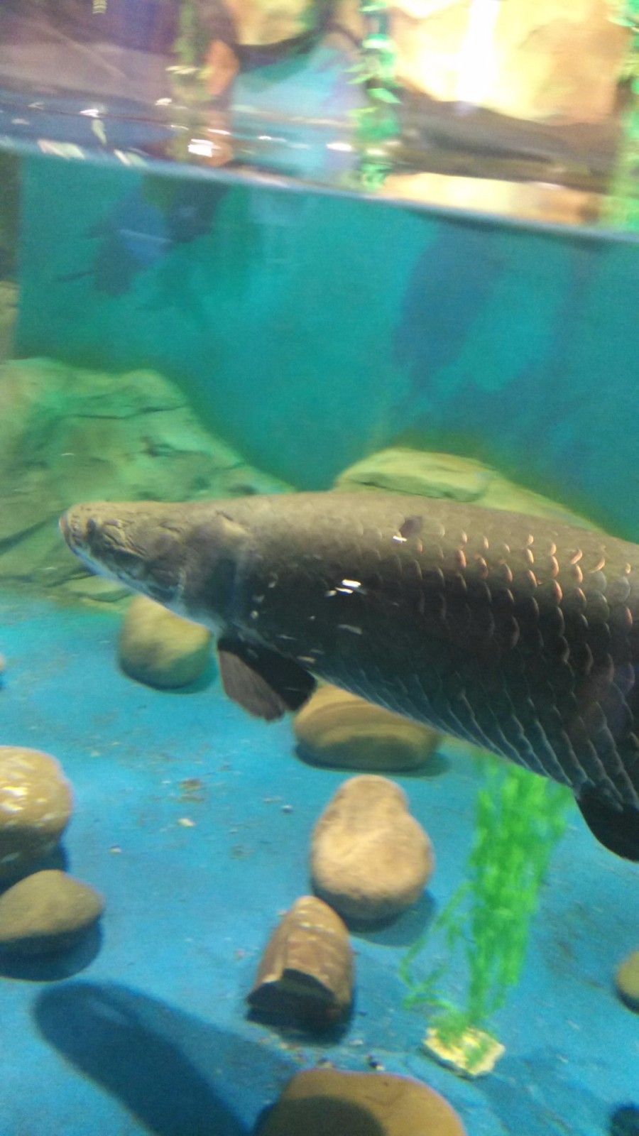 wx_camera_1524379794173