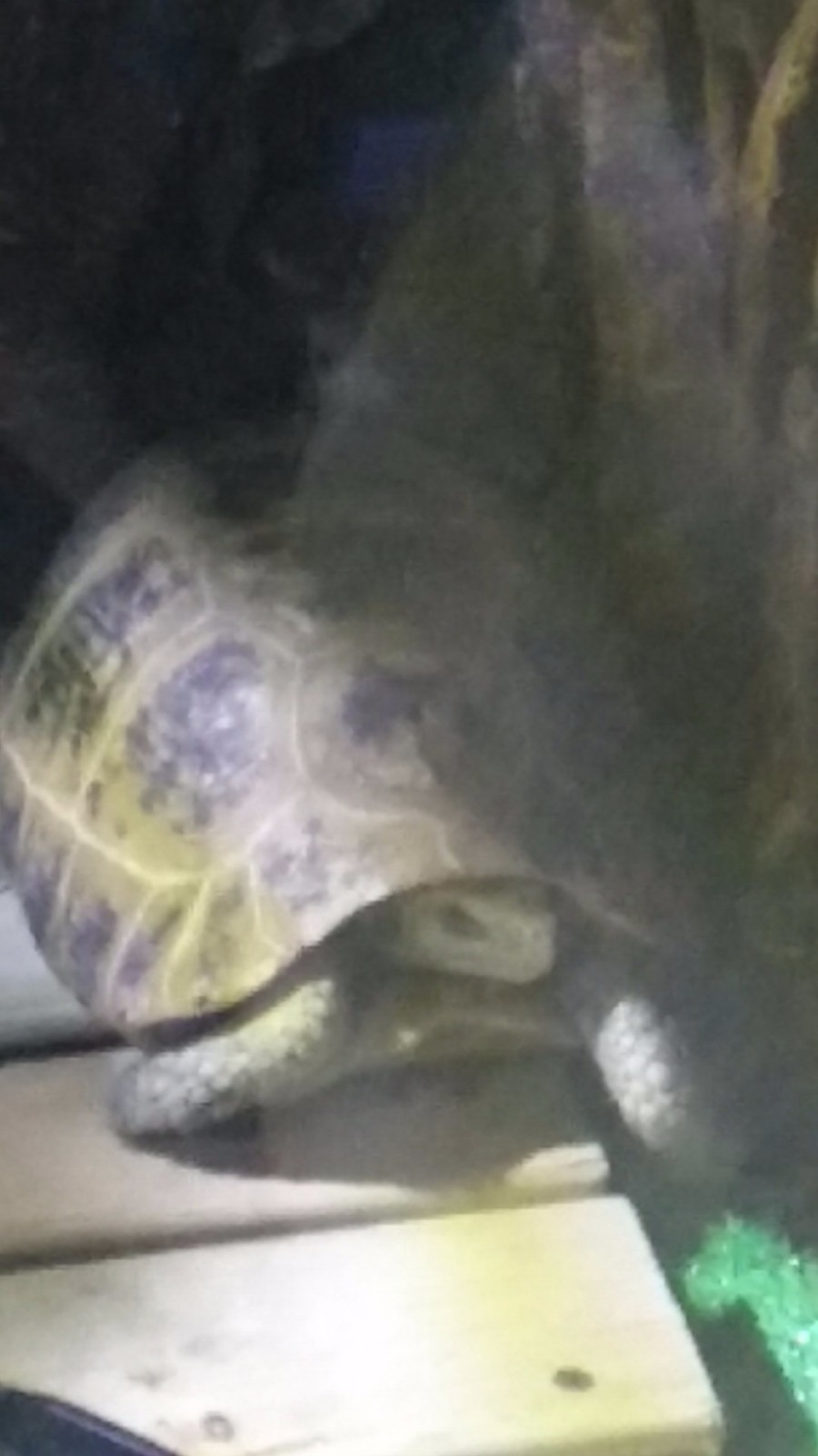 wx_camera_1524380067703