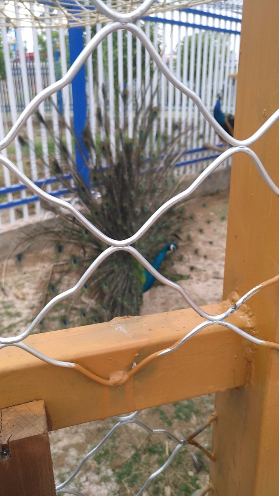 wx_camera_1524379620814