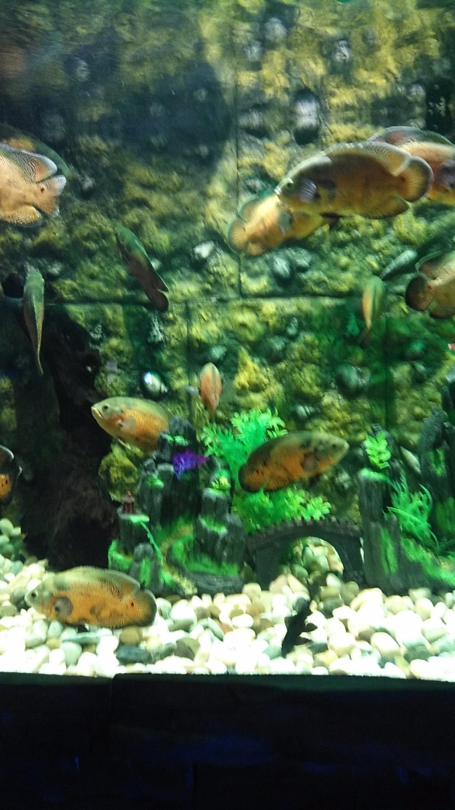 wx_camera_1524380267824