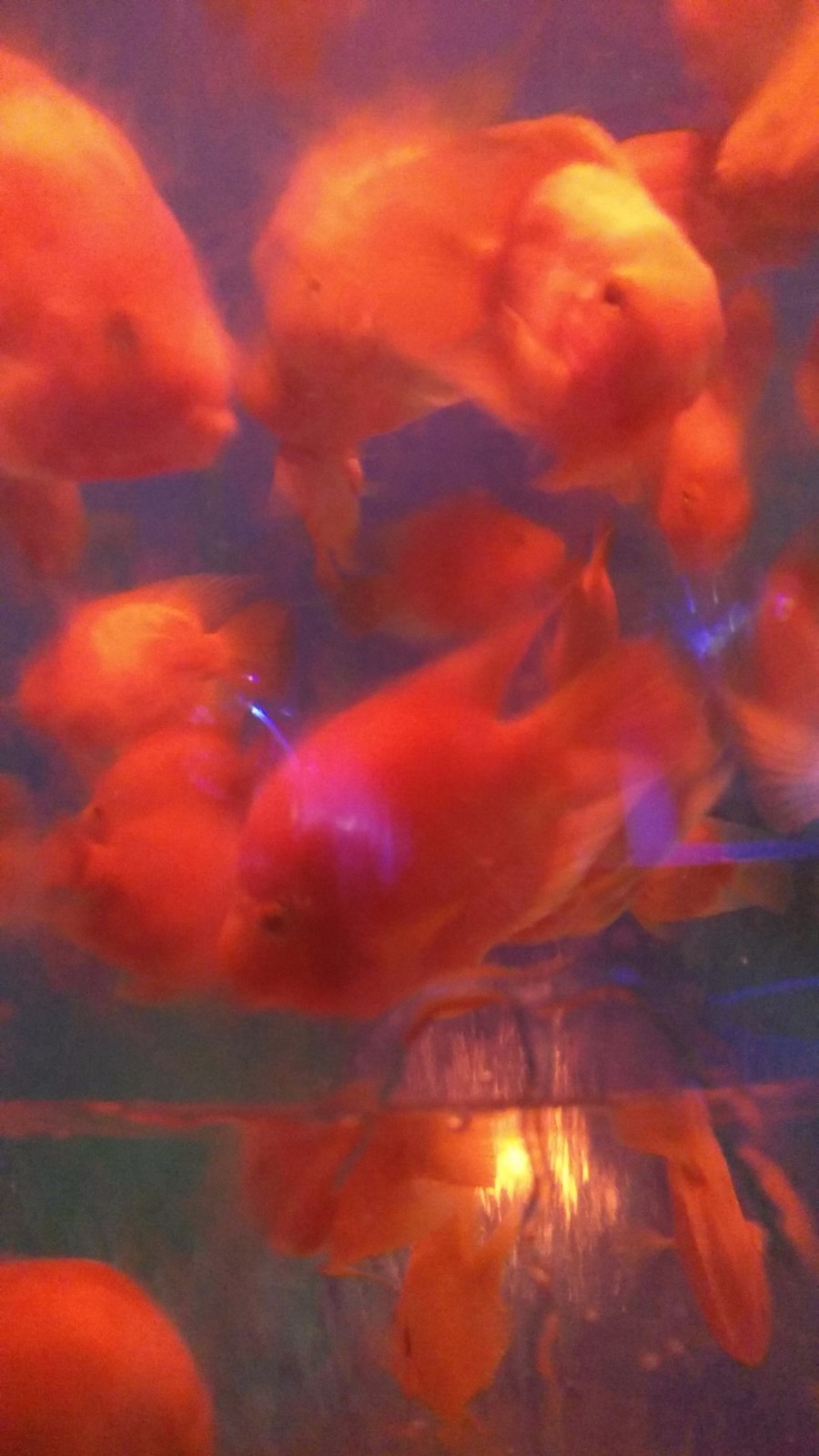 wx_camera_1524380658480