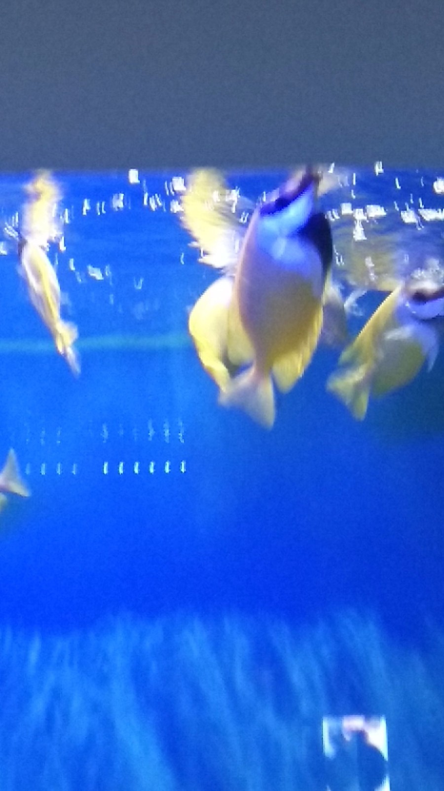 wx_camera_1524380757335