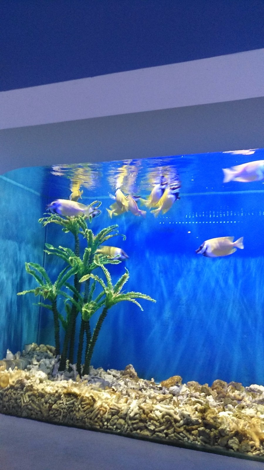 wx_camera_1524380767203