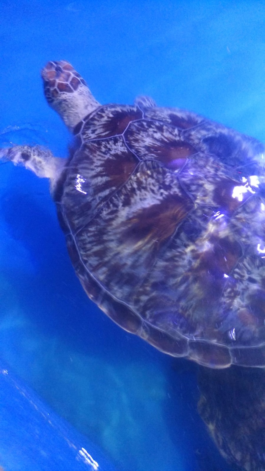 wx_camera_1524380563994