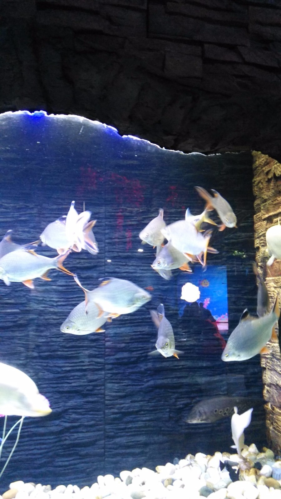 wx_camera_1524380359772