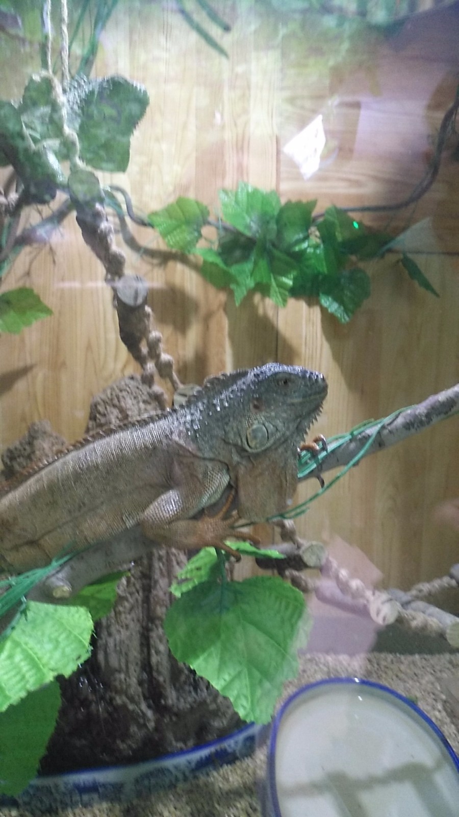 wx_camera_1524379969721