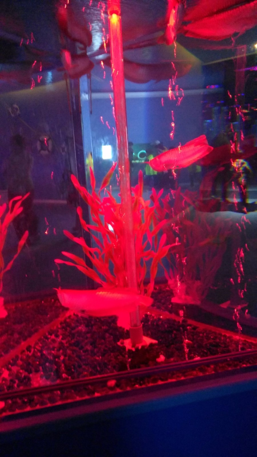 wx_camera_1524380888684