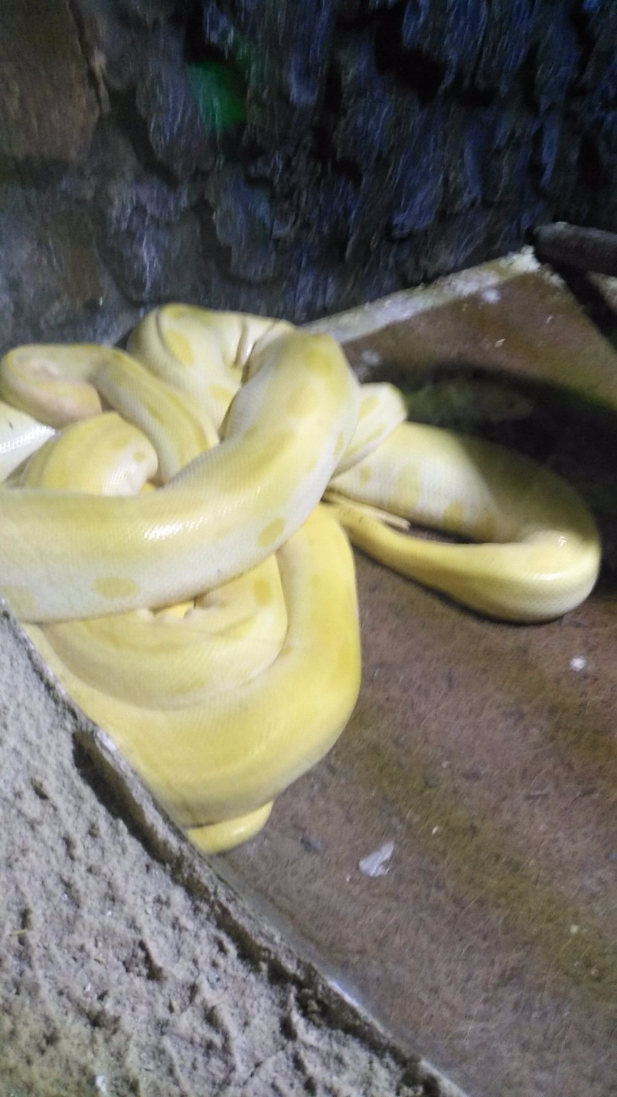 wx_camera_1524380090314