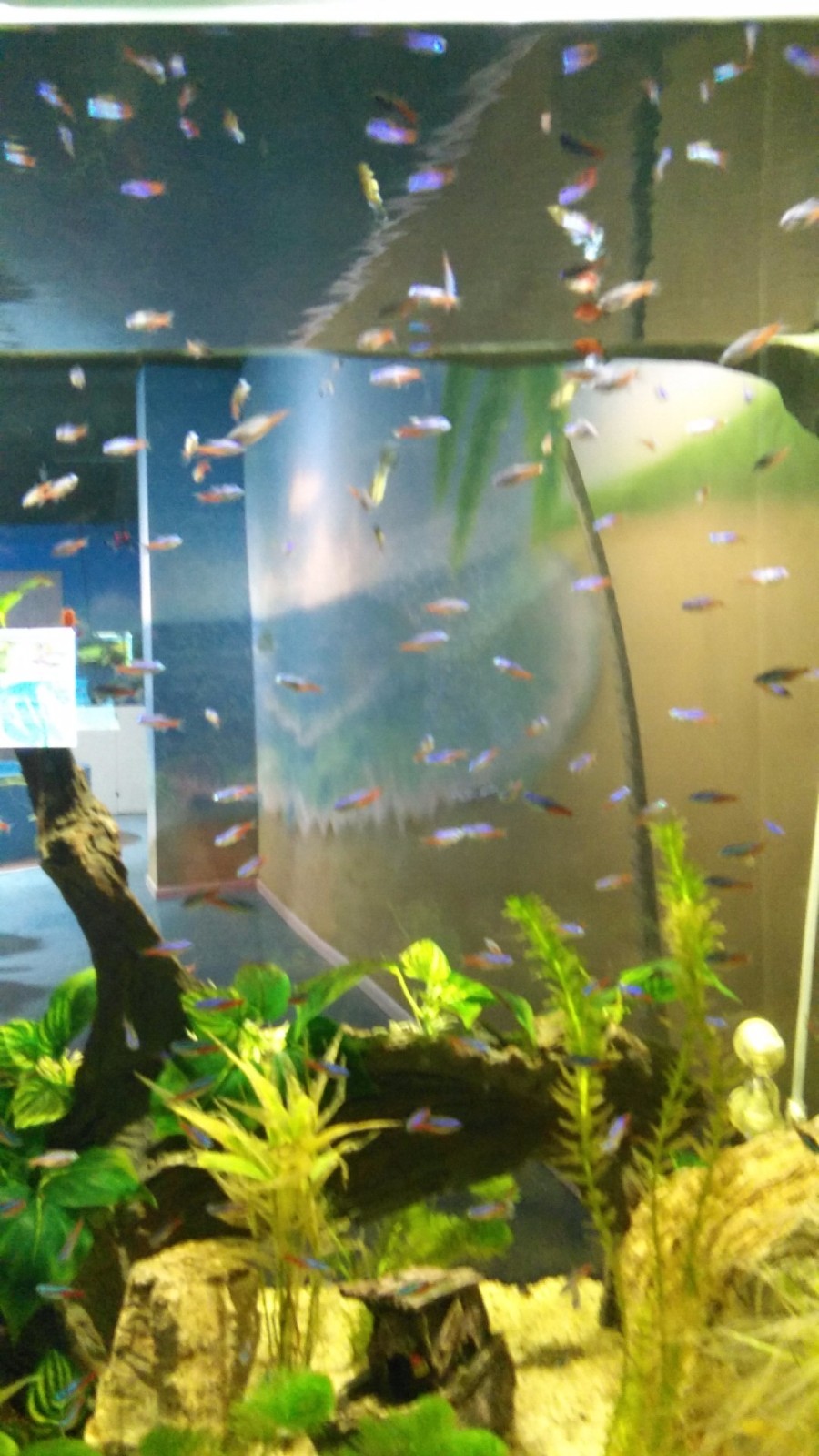 wx_camera_1524380407566