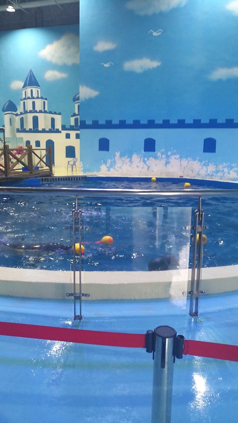 wx_camera_1524376033039