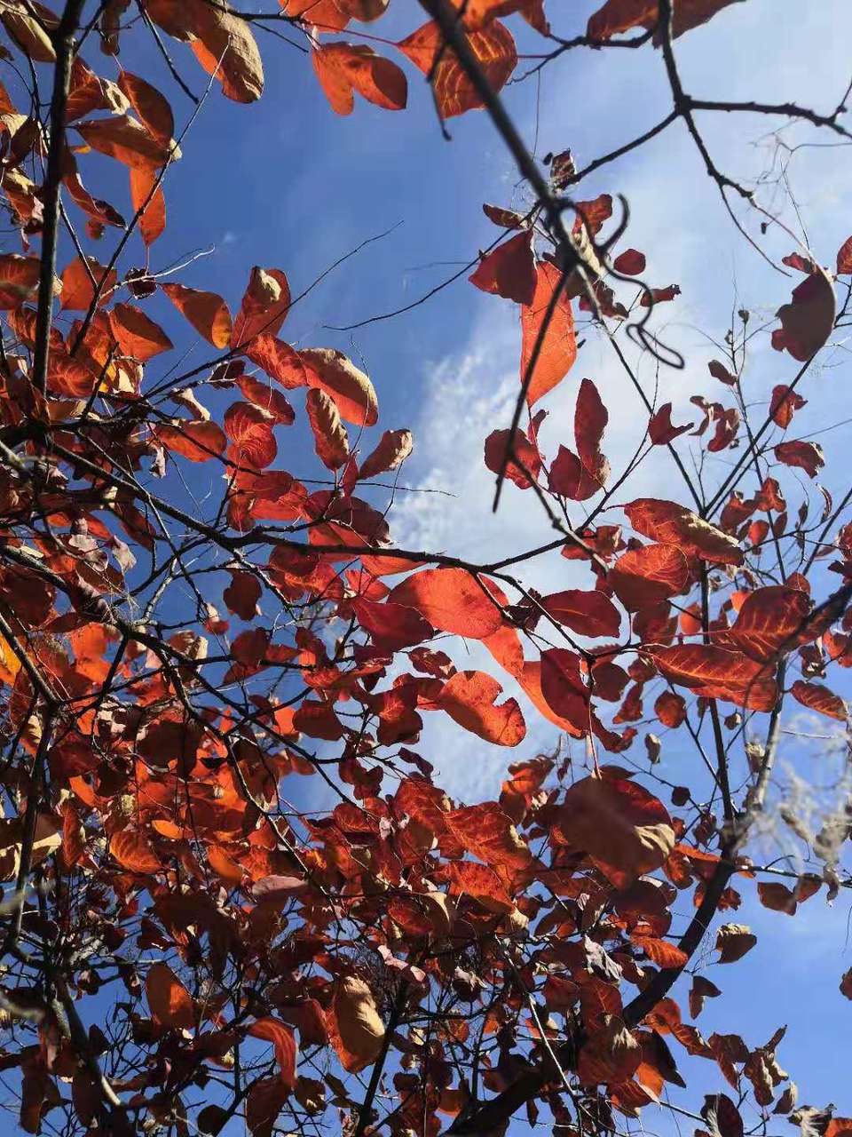 gn-VyxZFAEqEbXAj59fAvG4cIxOBB7HQ-_yZkWuU1r_jxPqiD0vIvR9u93zcfuF8