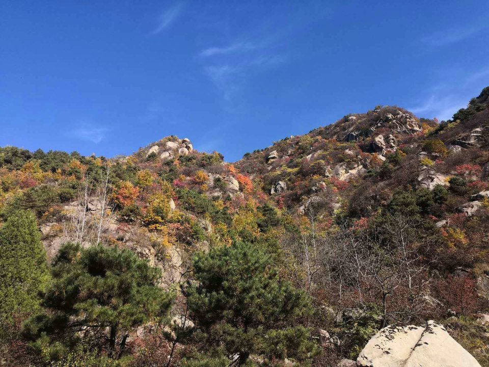 SPq7MkcrAP7GSFWbZlxy2ChgFcxowk9RCe7uxyl_EWNg7tpg9LzJSrlqNgm77vXW