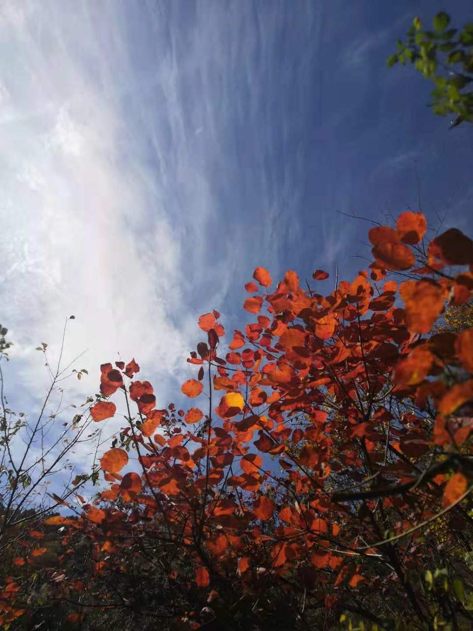 SDz627ZGBhC14O65BTHtx1Z0SYfk5Ni8ElreDSmuGHh2gxJEcH1Zz3L07ZSkHuAN