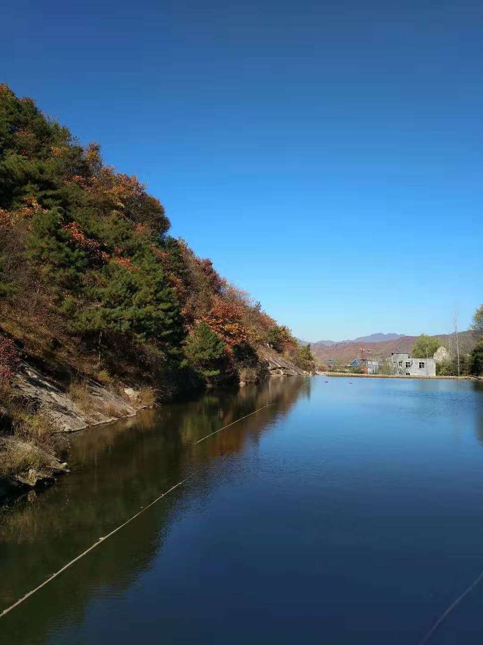 5TsZsL3GhxpQN7UzsoCFXUiDuGoPozIAkj00WJPWb00o45ikg7o3nOjdFz1q62ly