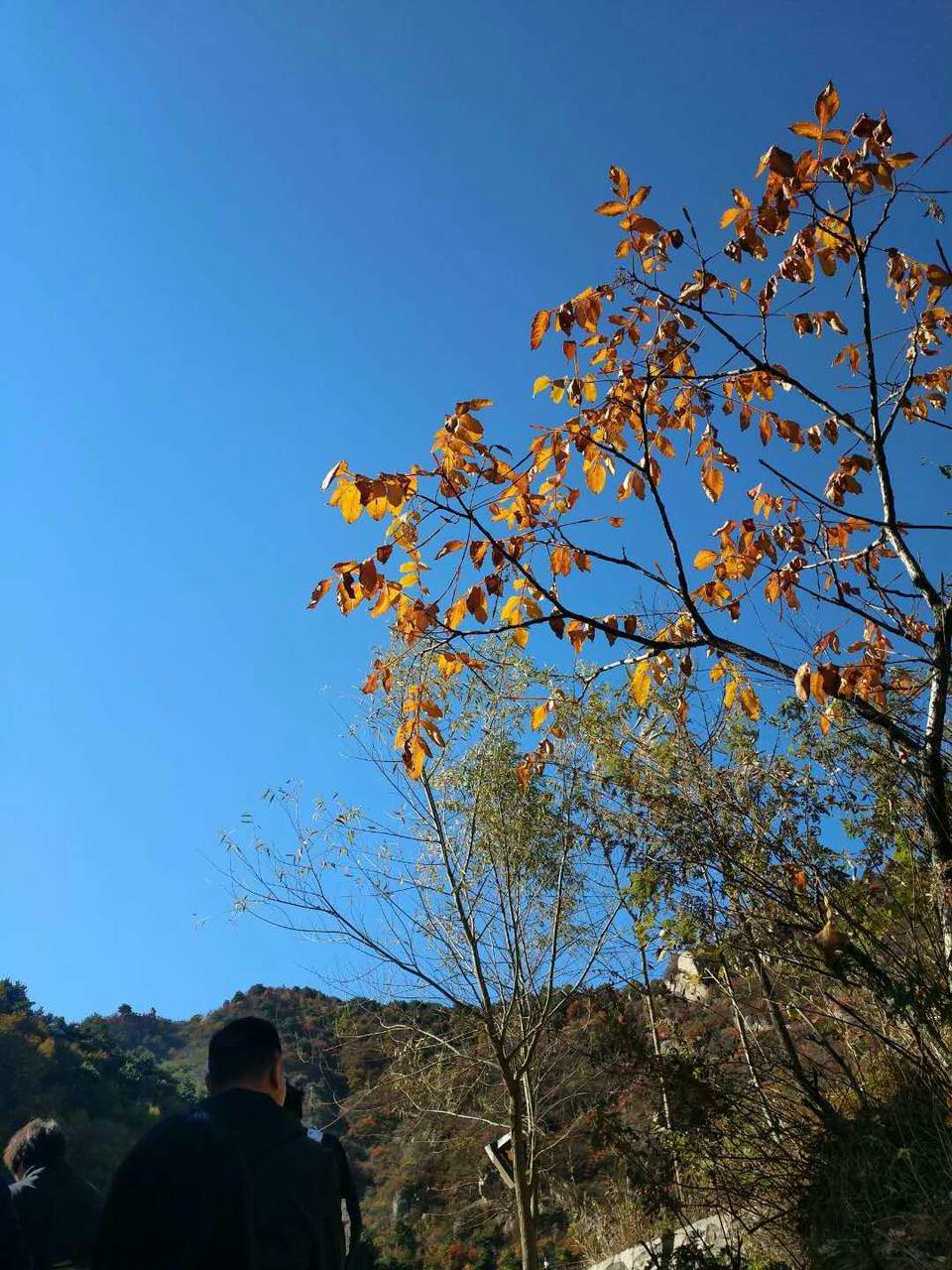 fbaWhFrNStuASBBN0MpFMl9mtvyHCB8o1nvHgFVCVtCbDU635P62HAnbhJSdzF3K