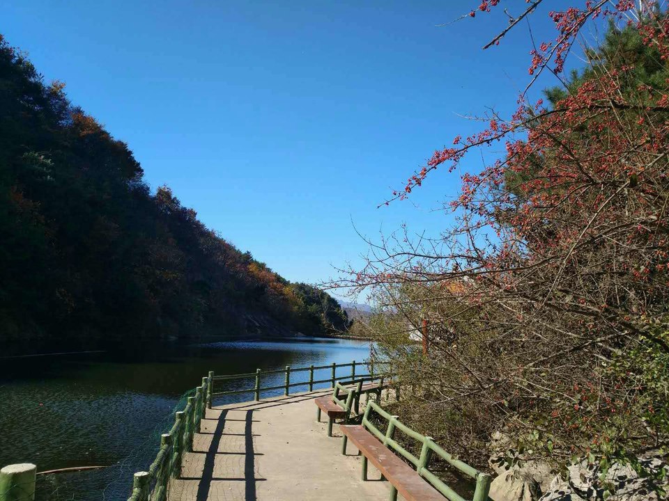 -yBhbbr76Cdxp3D1zVQpP1ejKyLHh6C7n6fj0bo6I5GKzV524NY6-YqHrlYJn6Mn