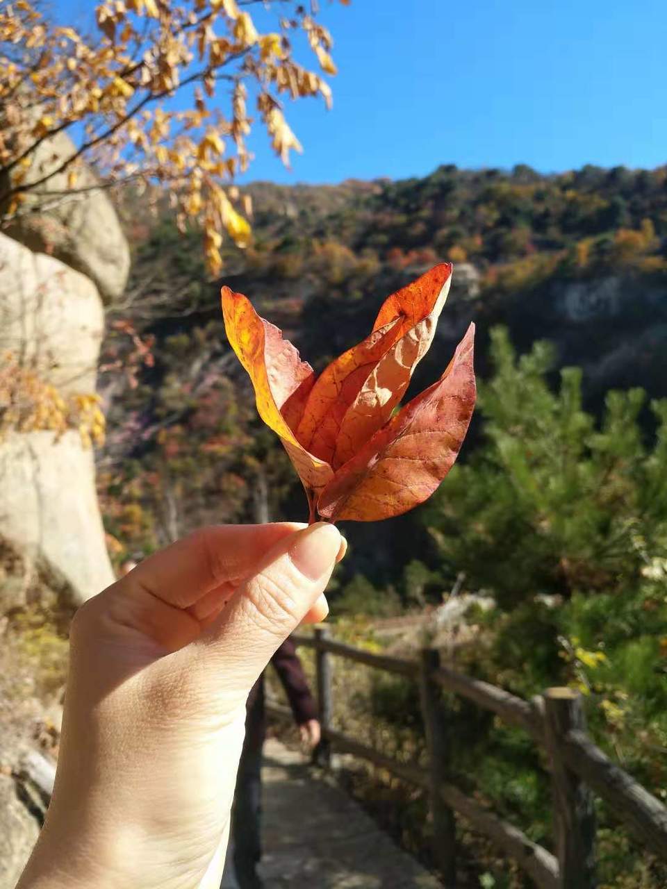 s0vxJPye88QH1z77cj62ADnk0-QNPjUAdXfiGGO2Bh5chEYncKaLu5J8pUIaI10G