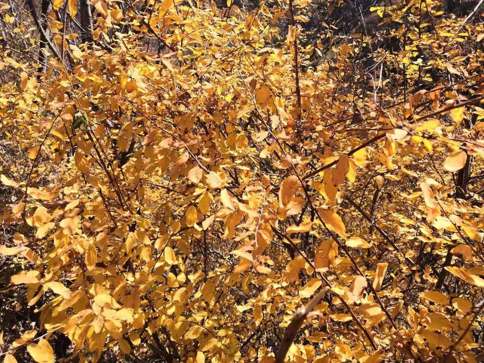 1x2jA3PX65lCc-NsbZ9LPtwiOofszmOcjG3TCBP0M0DtOuZp9ZTwMHObFZ98mJkd