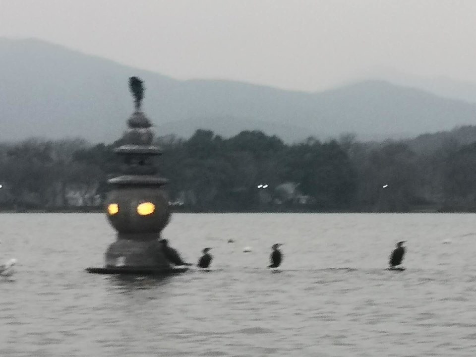 ZmK4vxOZIEE26M7C4k0JazEZ_5W5zltHahtaEsJmk8XFpAFSu7XkRaiTcYPFh5kw