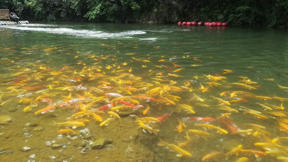 d3ioGBIm-ZPlFdnN_hqJ6OAyfSGulzLPB1rrjbHKMNm1BRhHemkg_I160-ZDmHLo