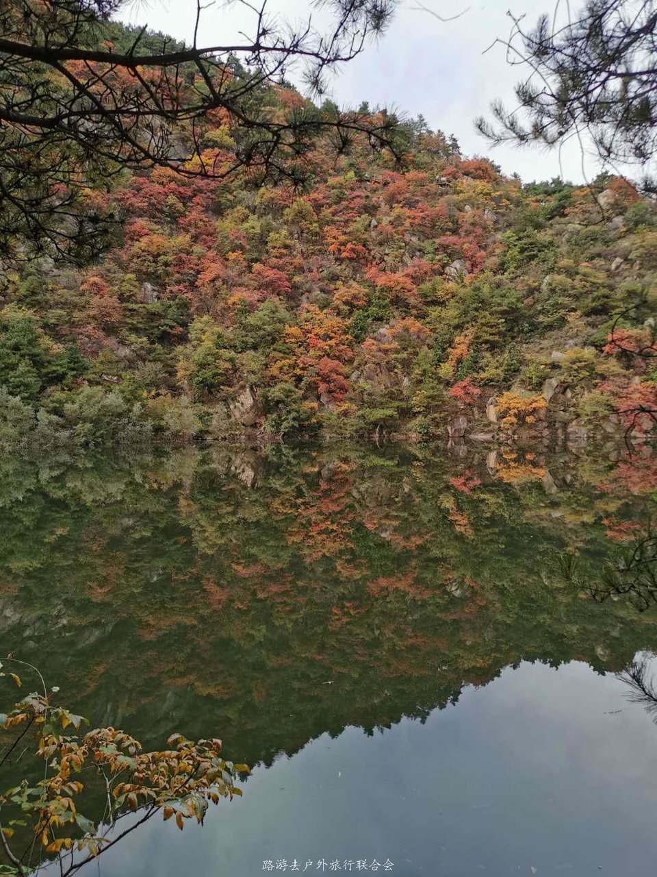 3G_9ACySdfgWFrWmebJtPtJFi_AW9UVagVTfbCEeZ5FYs7umPMi1Q-spEsGwKqy0