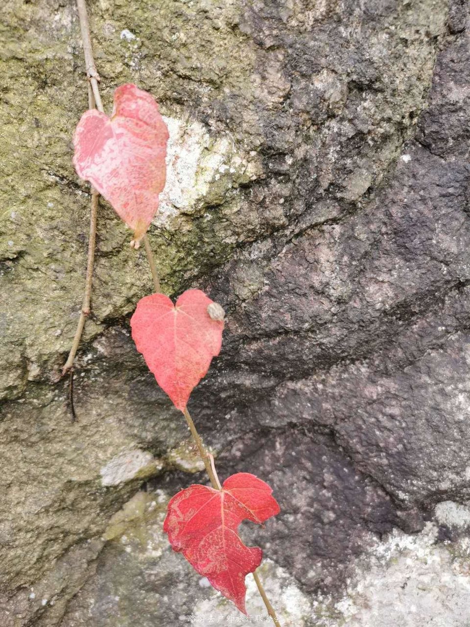 o3NS96EkYPTHnhmUmFexZOUiRzrrGHM1pnir5TB_p7BxdFvMD_avjkY5QX-lobzP