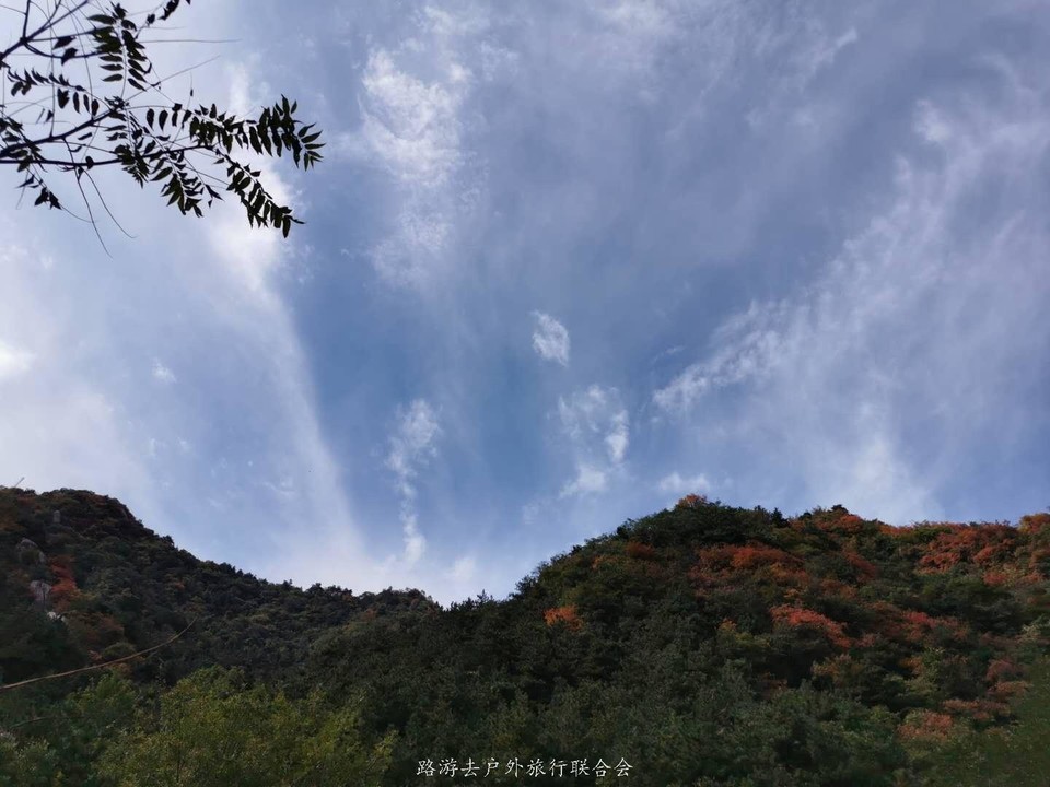 38MKpJyf_RQ3KGb2n-2CnEEPVlRu2thVqjV4bBTJgxk7Cg2SiOIbScUqyUxfGwDP