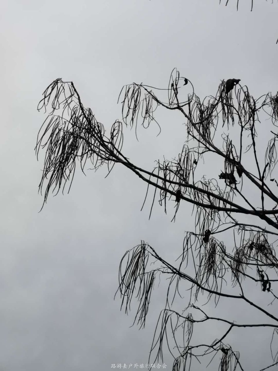 fsx5KyPTvxa5RYxHA3MKaEb0ScjK7JMcofsyVm9rTcNLnorNMEd23JePwBO_2jgo