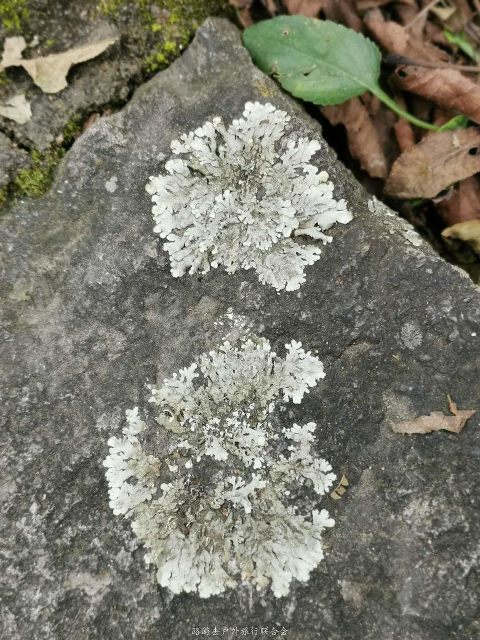 GIXKVvvEUD0CDLtdLQ_SafXavpZ3A7-eOcxGGbvjMD17HK82ya-DiKln8YT55L1a