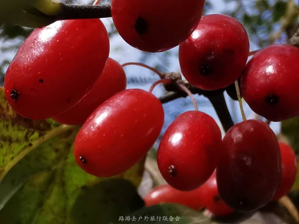 uQp6Pl5p9-QKz1p1im6MISGeVR51RC2c3I712XVP0JLIpyhdzJWXvJOaJzekD9s7