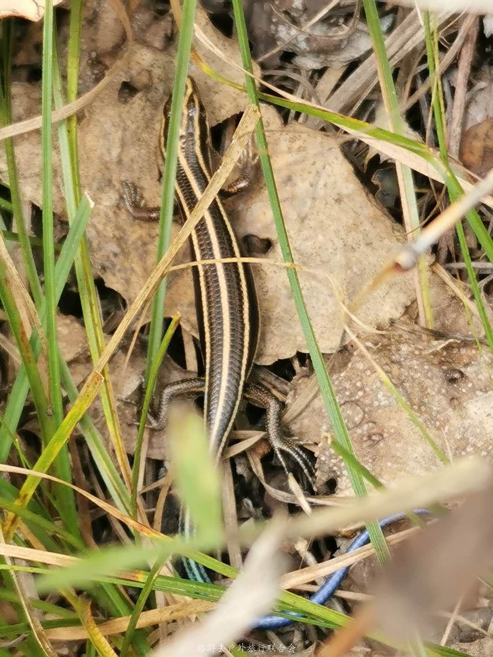 YKs6JM7D-18TuvX450JpQ9NJxsuFfFxKh9F6w5u4wgcUAmLMh4Bvqz7-BrX-GnI-