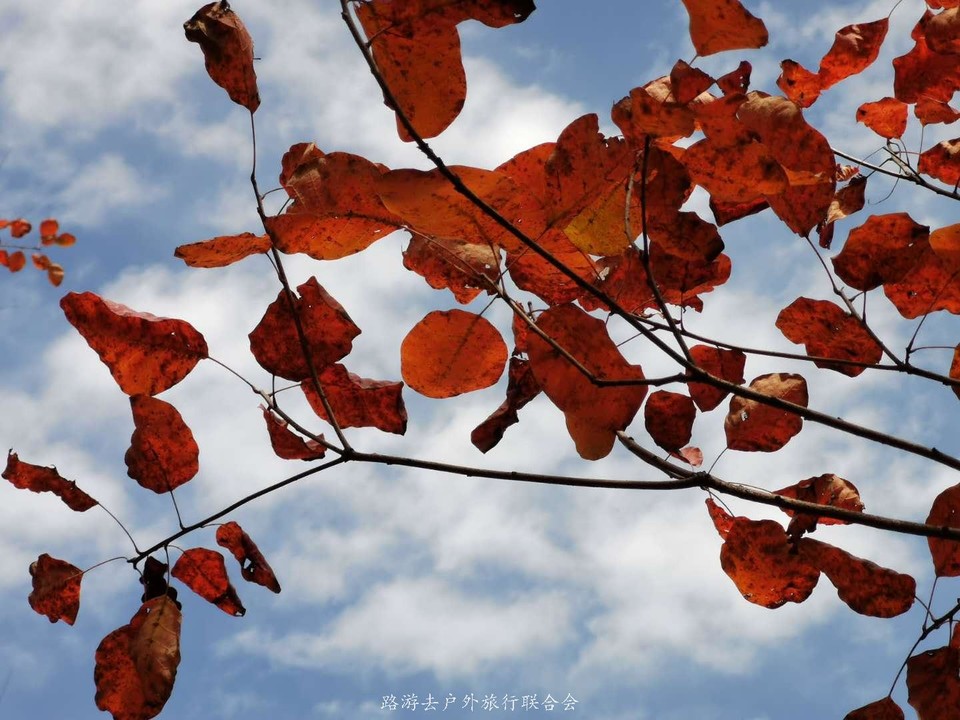 nQhWfbOuYZvGDzYHzYWNNIxzGIfwO32HZ6GgtRVZ8qm_rH3hUxBp8qt542hR2DWM