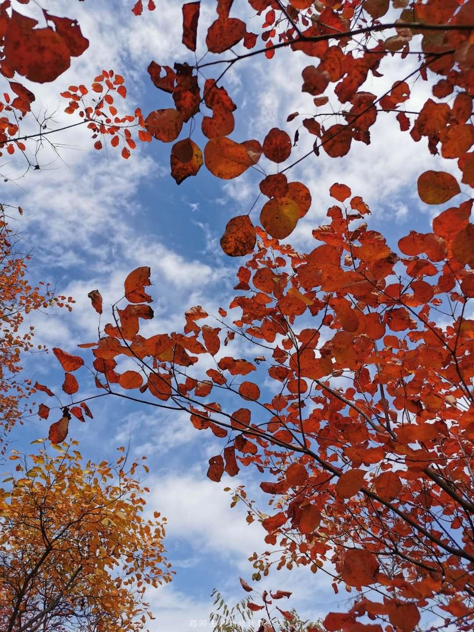 ZdcWaEtlYbbBay2stl1dZkgwObcClmPPZNKa8011pkE6HJNeoAqyiytpZC-ZWSmN