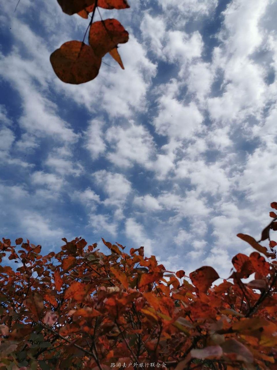 KaHtMVW52PRO-KUzgBmqm8PB7BhSjPKwbp3rmqO6-Qj_xxkb7gQbsDFBVVjVyEKw