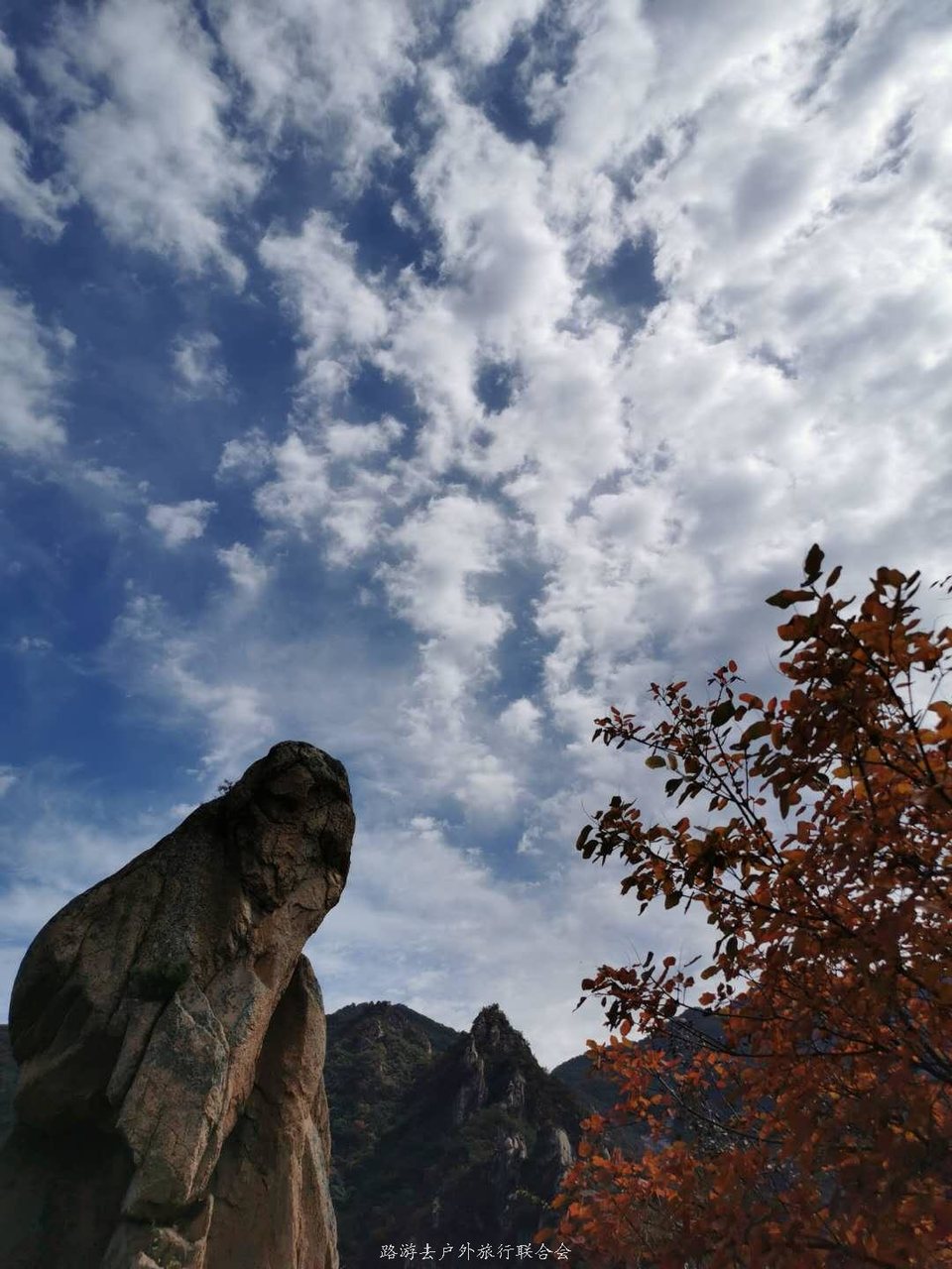 CrnQVOtgDqM6SX7IeYrvrOjDSE_Z8_FNwfAVn9w4kjXxXfxXygGmwZ3-mqp1fZnb