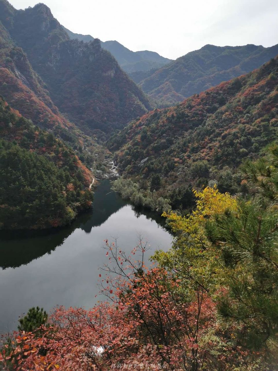 odks2MJnxE2On0n8d-4CD4pr1JN-X4X7UyWqIZvShtHNUgbK9_JIyrp_otIhBLZZ