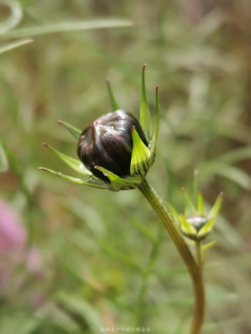 1eSBiFGmD8uwUwPORcEMMEhkxtt7RPy_A4K34YsWh--iuN_yntjmequFzyeUlz1t