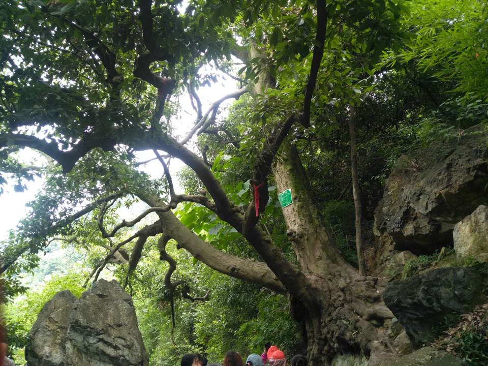 czm3k4Qg3ZIbJEY8DWdpjdWUtSduimkTYjcXuxsyM6AhXvi-dJKoo6xeFSI7z92G