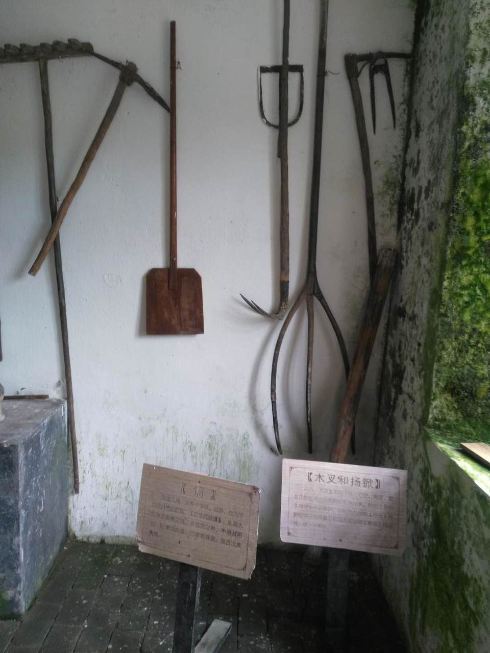 dISb4C6y2Fs-dwTAFxsbb1tCuSdtyZgWAXtovPs0fLeVSgnFaNgv88WLVZUKz5Sn