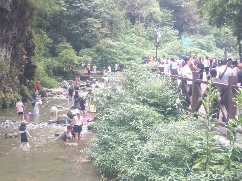 -jdQot5Bg5zelUoMSoh_oVNh31JdFl6uoRAuQcFwjKk6A5VDaasSwA_TfZJH42gq