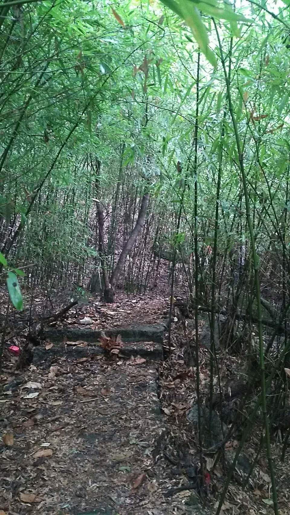 kczhuP69tH76qGVkyfzzjXttqiMLNcvhX8mHHITvdS7RdAiOfohPxq0qChjz7bJY