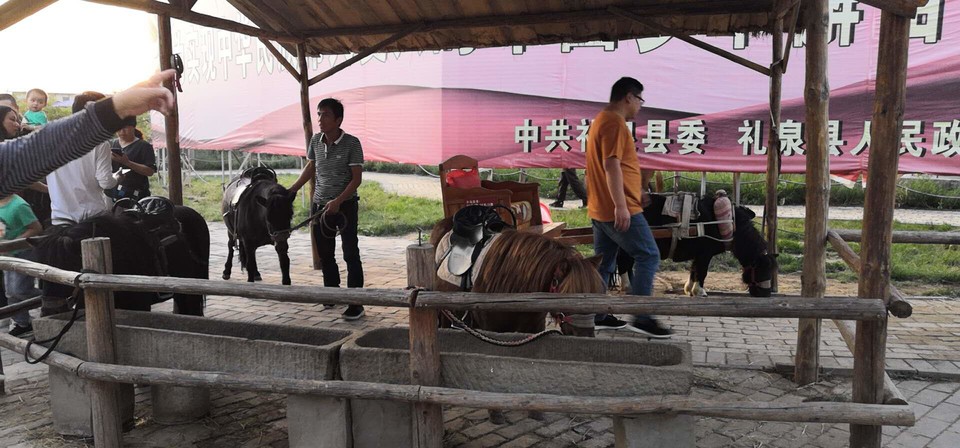 gy8VEjFR8ih17XfkAvd-jJQk6SSWUJ-rtD39XBfhrKkFkyaFZ-H1NlyuwQn5YveA