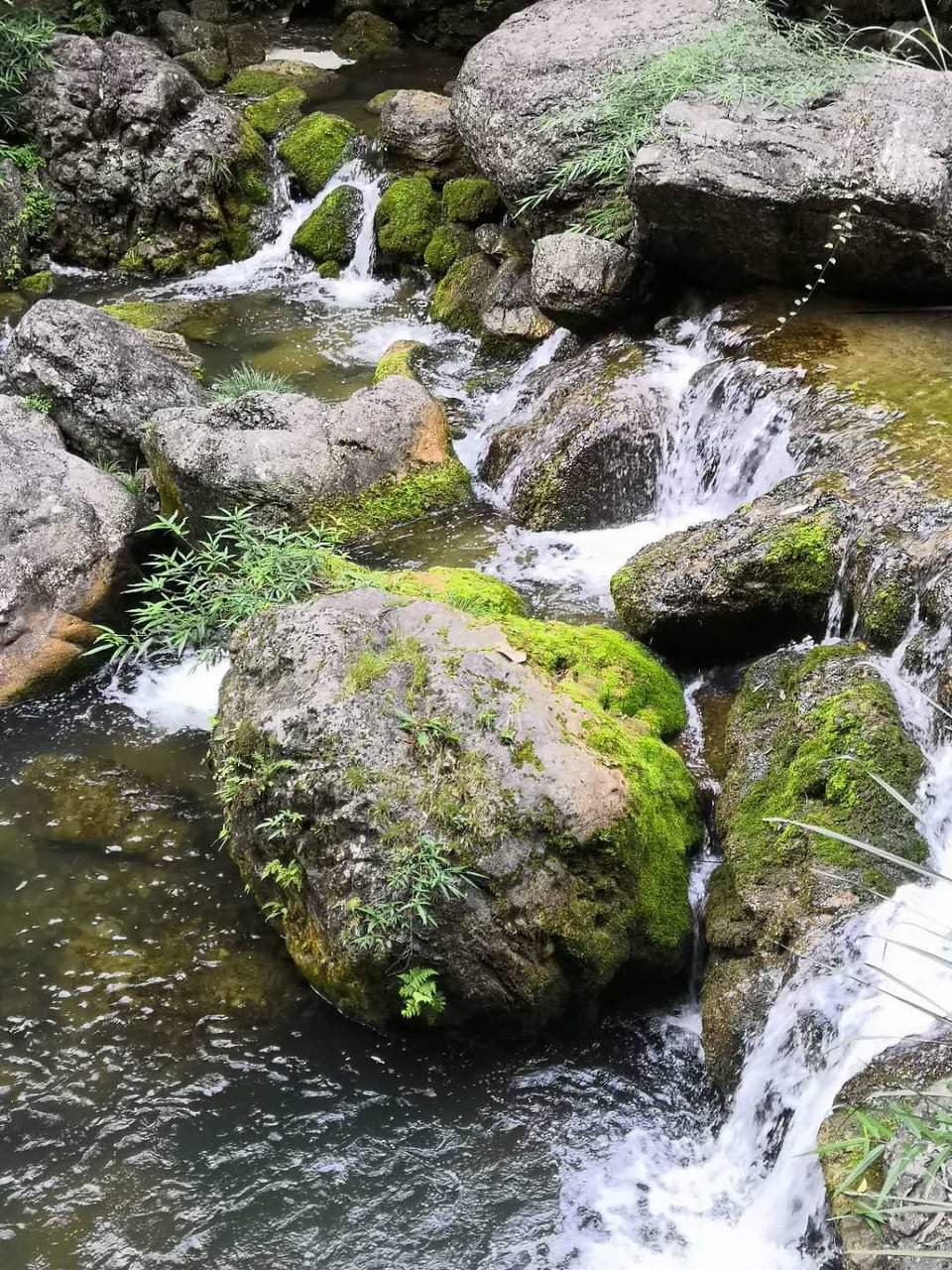 xSlnE1rJfsvBD2Qei9m5269l2Gutmo-me-rHsDvci5w0o4FPaw2H-hxI81gNnBPO